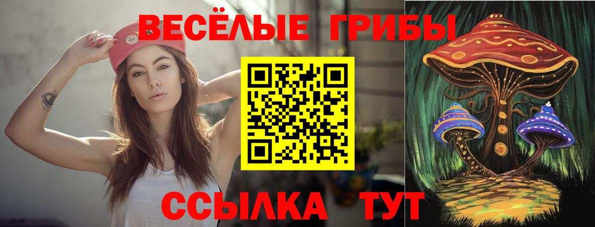 Осинники  Псилоцибиновые грибы мицелий  Вход с VPN 