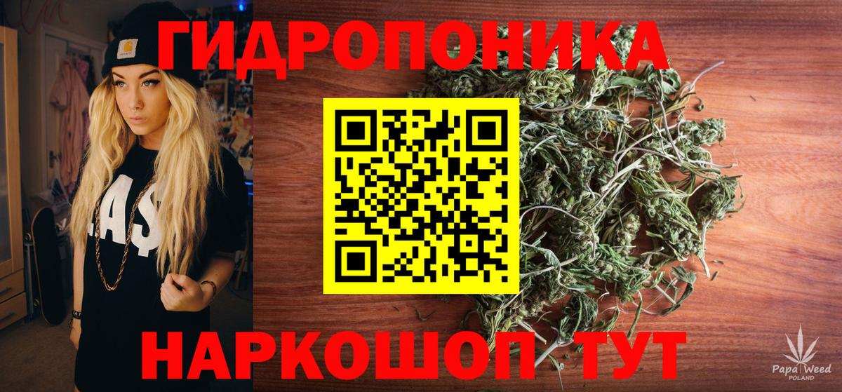 Осинники  Канабис ГИДРОПОН  Бошки марихуана план  Вход с VPN  Канабис AK-47 